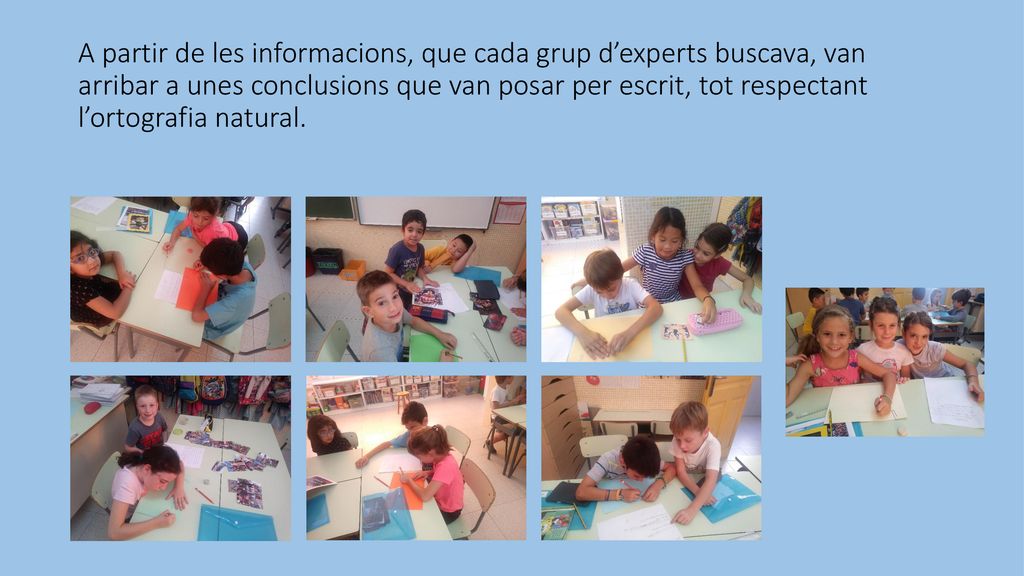A partir de les informacions, que cada grup d’experts buscava, van arribar a unes conclusions que van posar per escrit, tot respectant l’ortografia natural.
