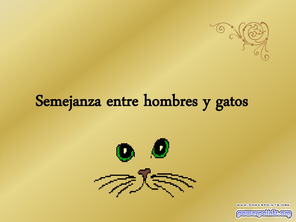 Semejanza entre hombres y gatos