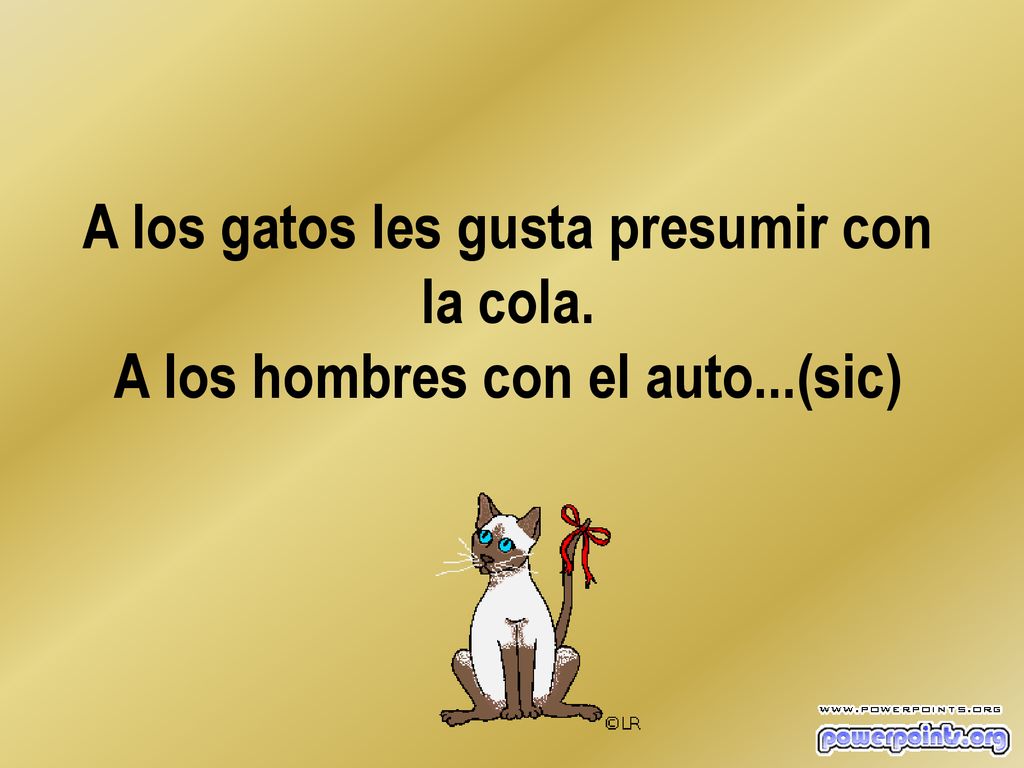 A los gatos les gusta presumir con la cola. A los hombres con el auto