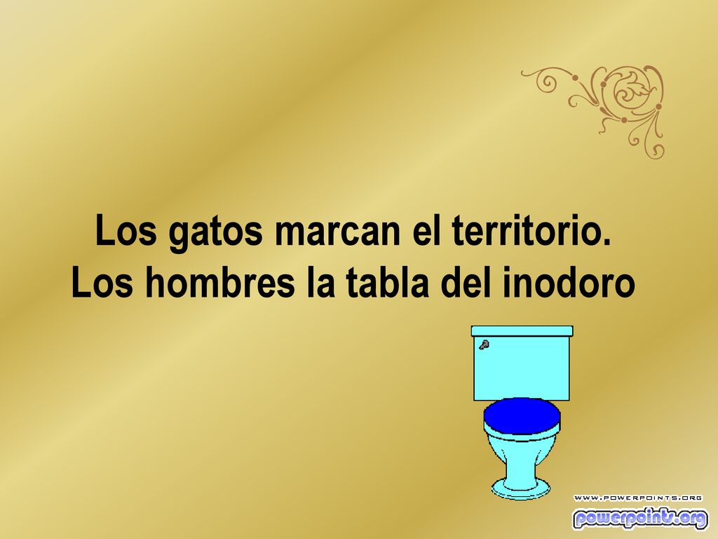Los gatos marcan el territorio. Los hombres la tabla del inodoro