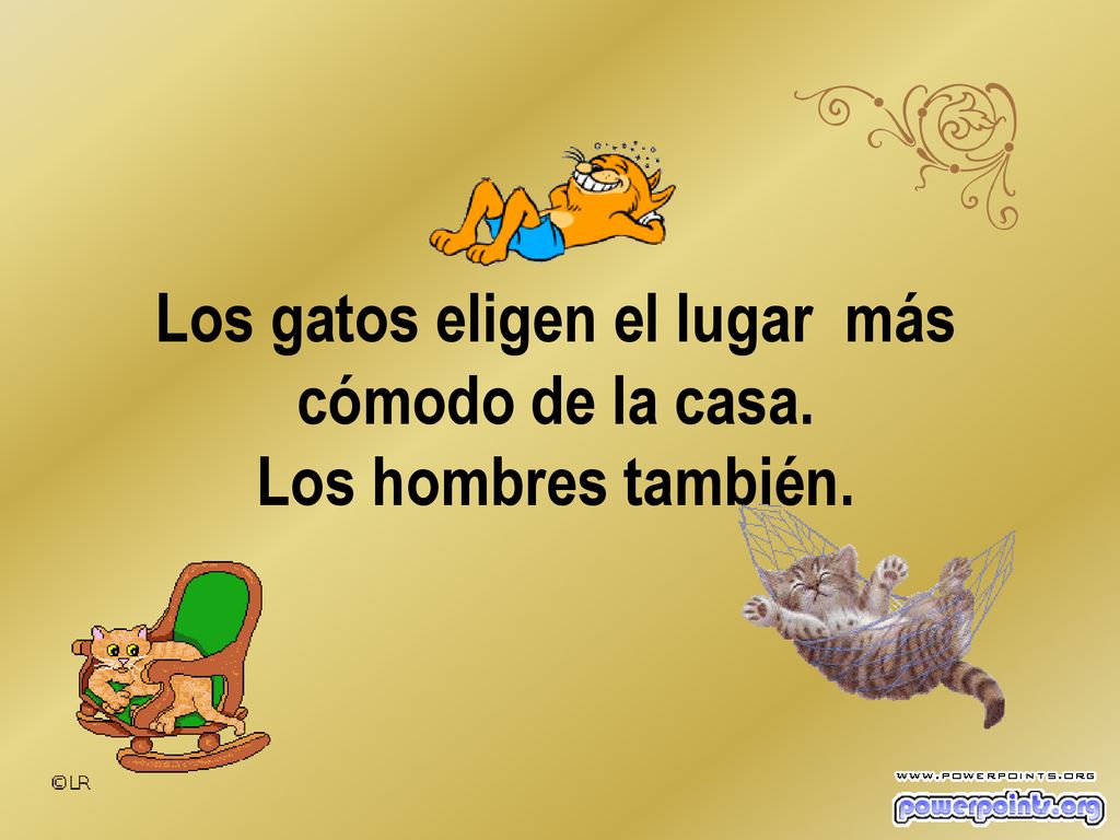 Los gatos eligen el lugar más cómodo de la casa. Los hombres también.