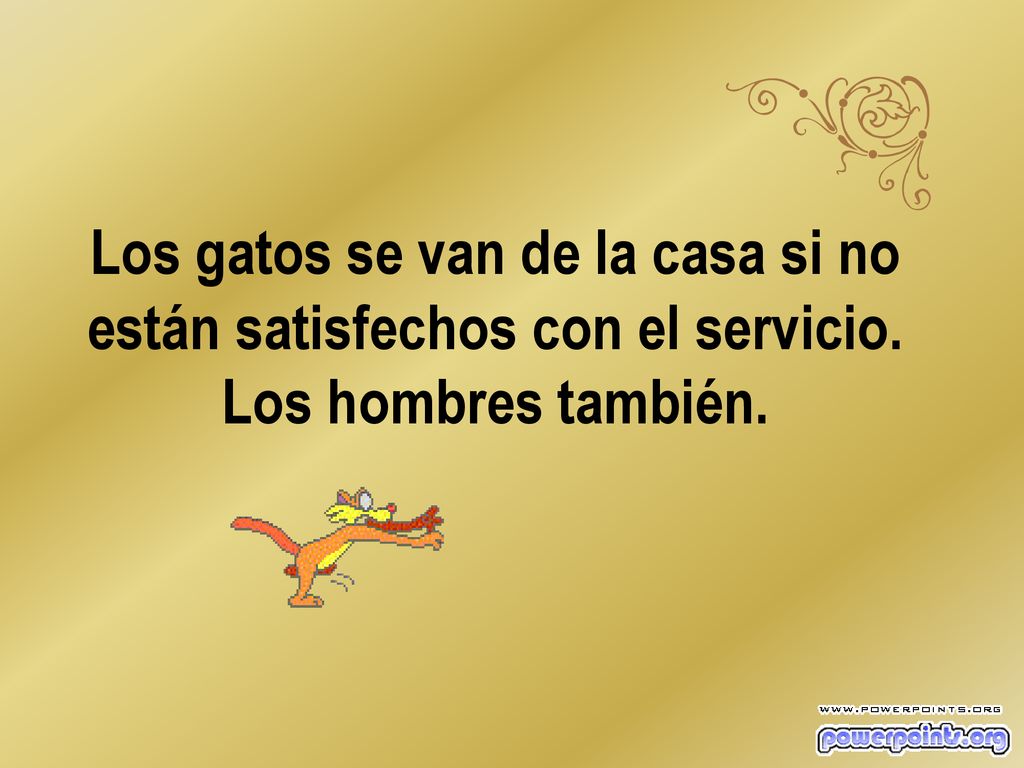 Los gatos se van de la casa si no están satisfechos con el servicio