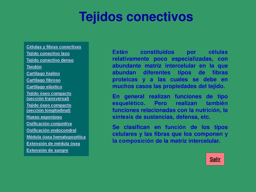 Tejidos conectivos Células y fibras conectivas. Tejido conectivo laxo. Tejido conectivo denso. Tendón.