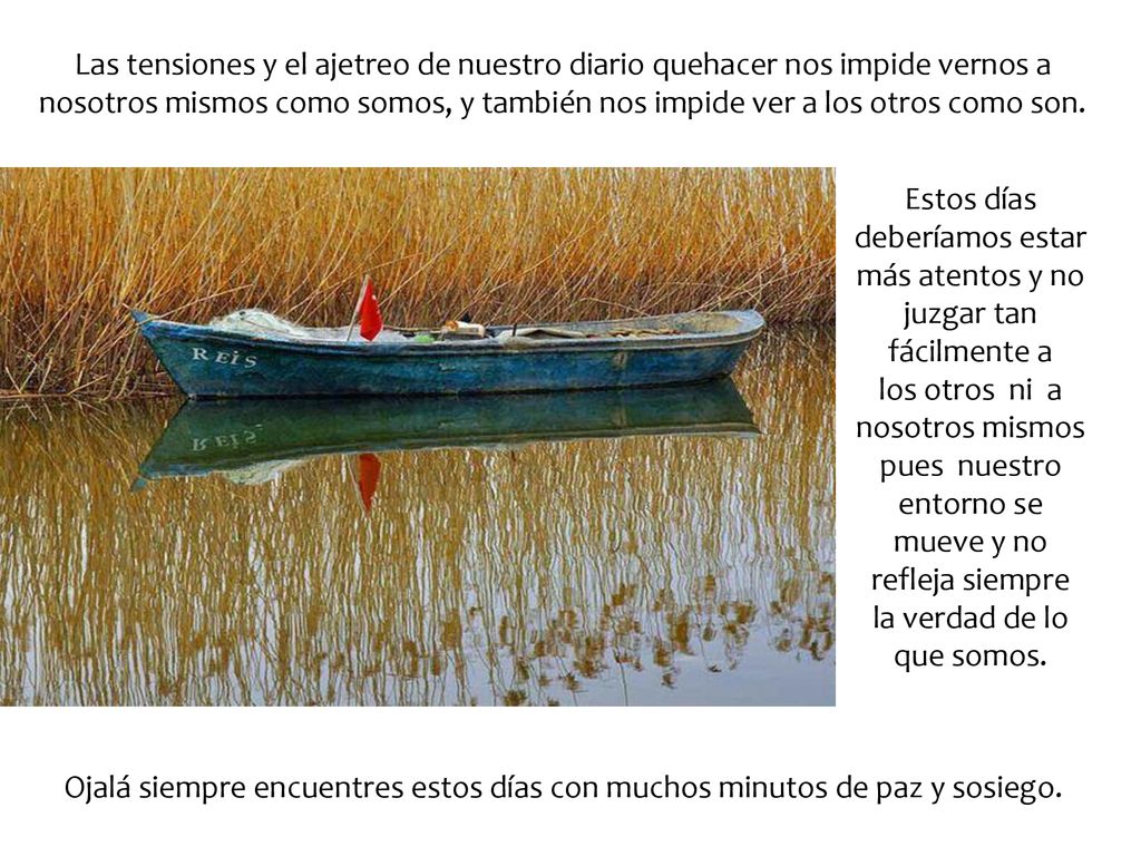Las tensiones y el ajetreo de nuestro diario quehacer nos impide vernos a nosotros mismos como somos, y también nos impide ver a los otros como son.