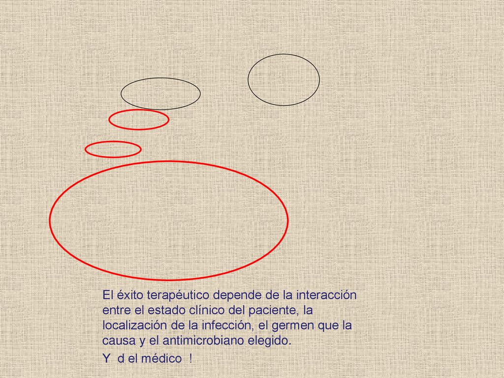 El éxito terapéutico depende de la interacción entre el estado clínico del paciente, la localización de la infección, el germen que la causa y el antimicrobiano elegido.