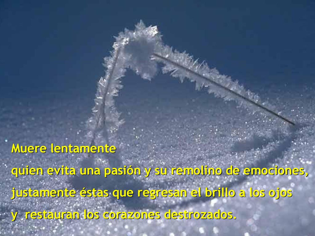 Muere lentamente quien evita una pasión y su remolino de emociones, justamente éstas que regresan el brillo a los ojos.