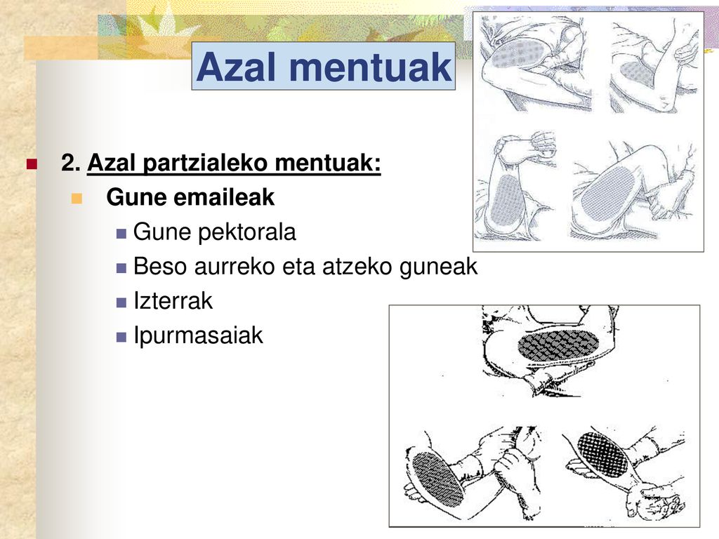 Azal mentuak 2. Azal partzialeko mentuak: Gune  eak Gune pektorala