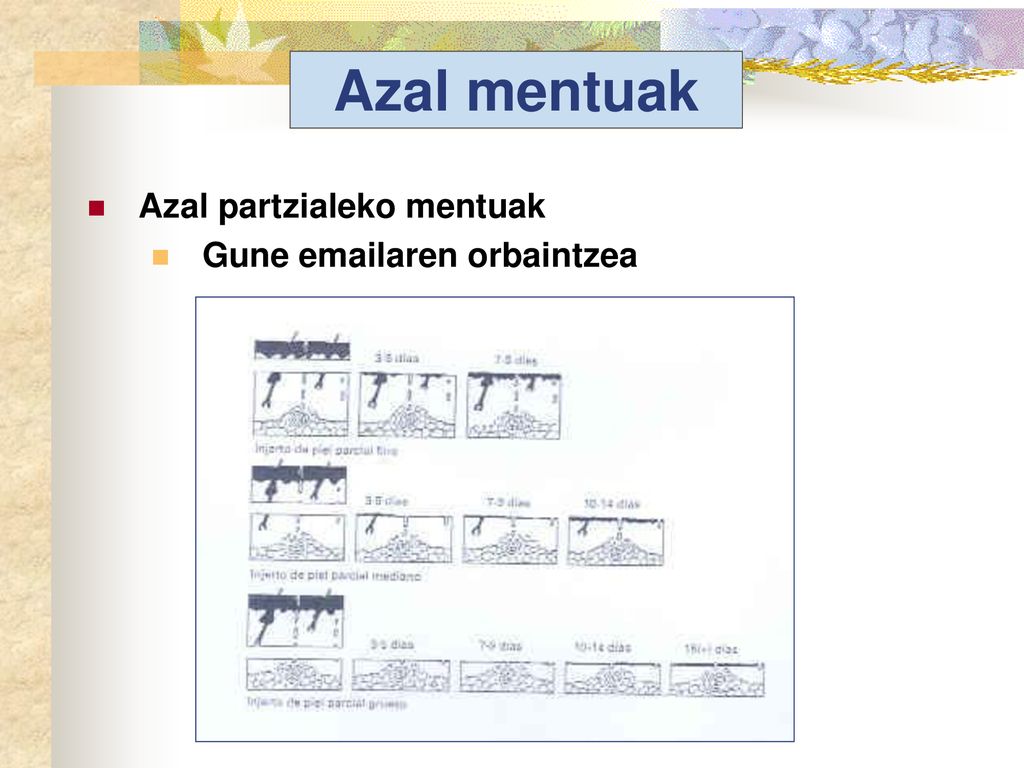 Azal mentuak Azal partzialeko mentuak Gune  aren orbaintzea