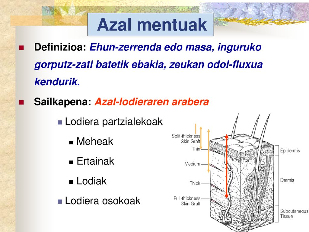 Azal mentuak Definizioa: Ehun-zerrenda edo masa, inguruko gorputz-zati batetik ebakia, zeukan odol-fluxua kendurik.