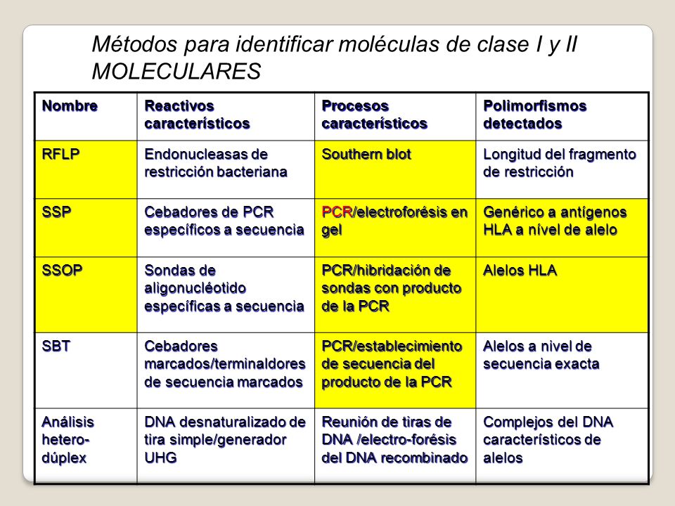 Métodos para identificar moléculas de clase I y II MOLECULARES