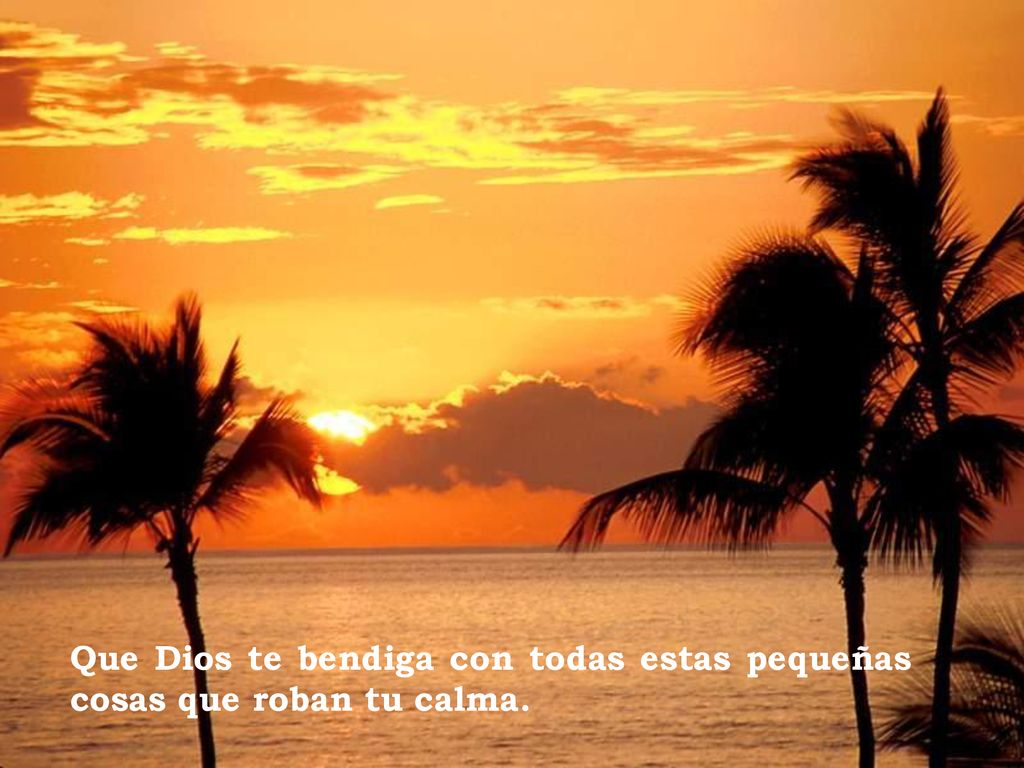 Que Dios te bendiga con todas estas pequeñas cosas que roban tu calma.