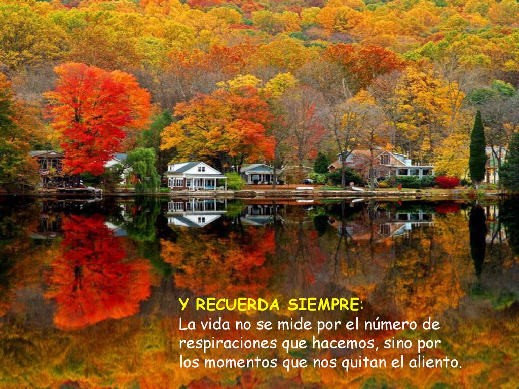 Y RECUERDA SIEMPRE: La vida no se mide por el número de respiraciones que hacemos, sino por los momentos que nos quitan el aliento.