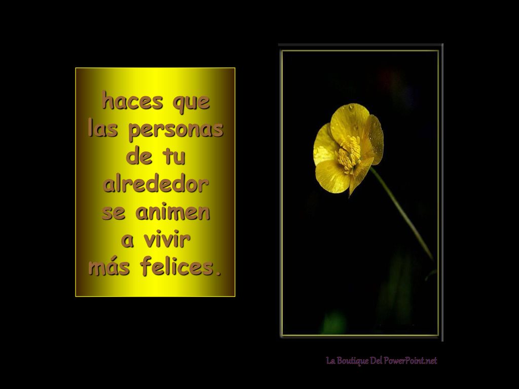 haces que las personas de tu alrededor se animen a vivir más felices.