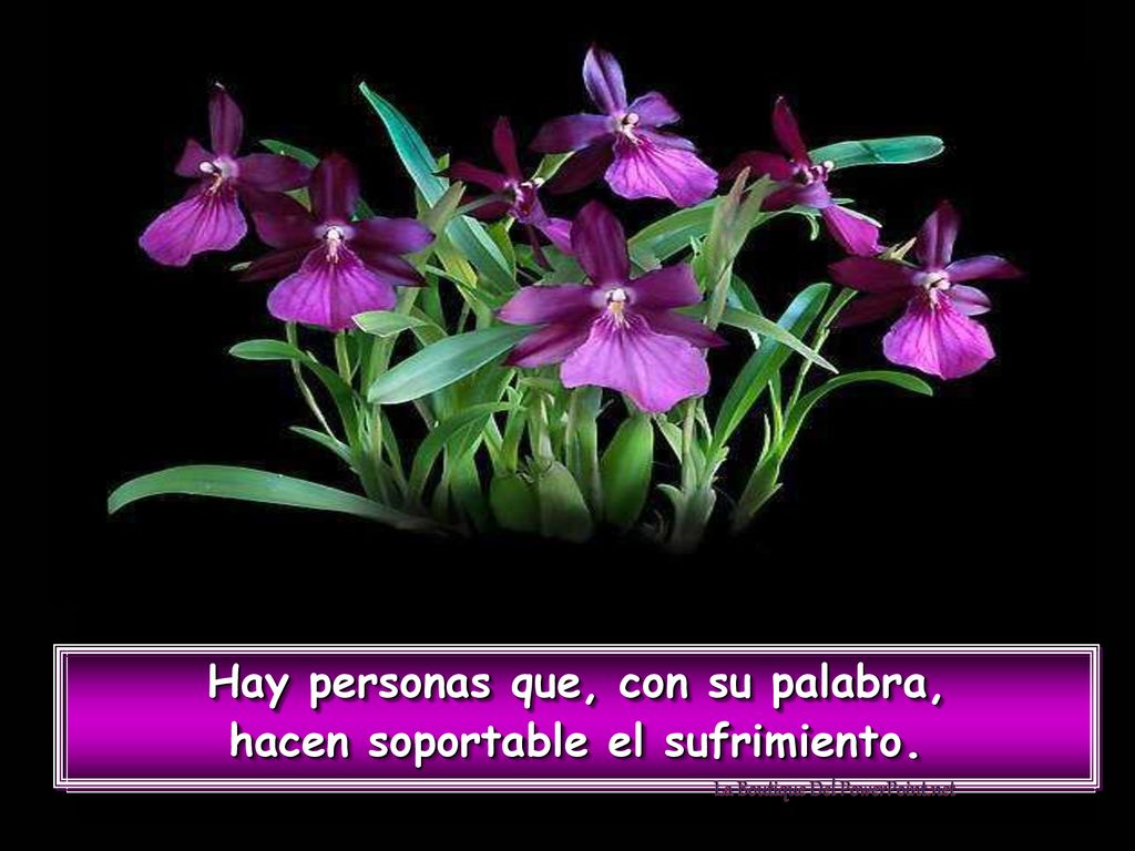 Hay personas que, con su palabra, hacen soportable el sufrimiento.