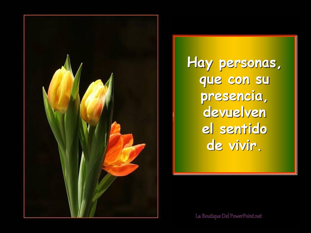 devuelven el sentido de vivir. La Boutique Del PowerPoint.net