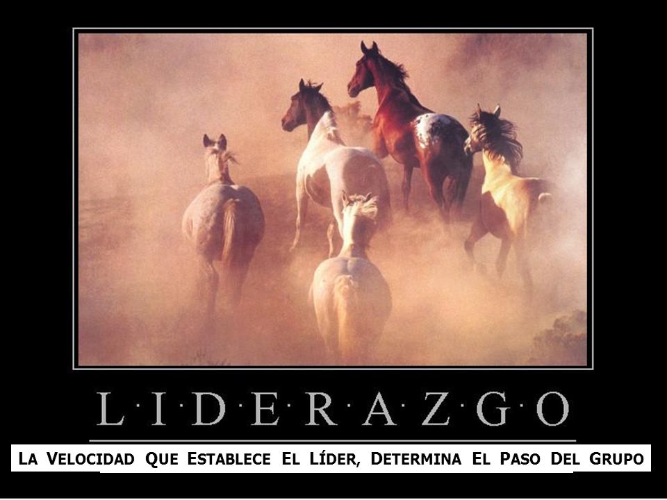 LA VELOCIDAD QUE ESTABLECE EL LÍDER, DETERMINA EL PASO DEL GRUPO