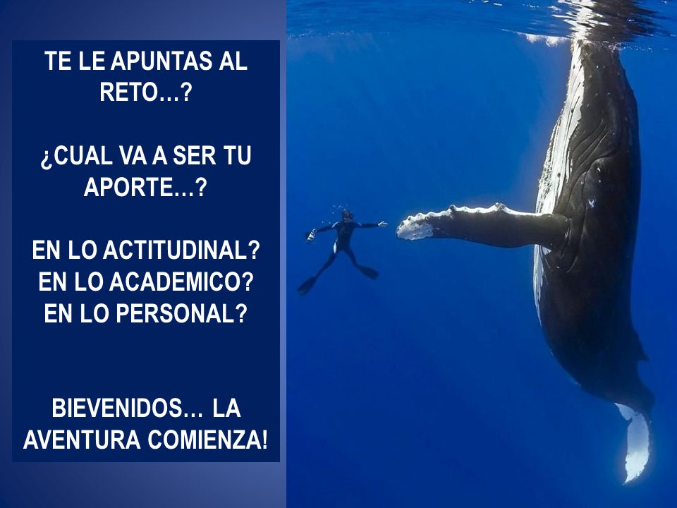 ¿CUAL VA A SER TU APORTE… BIEVENIDOS… LA AVENTURA COMIENZA!