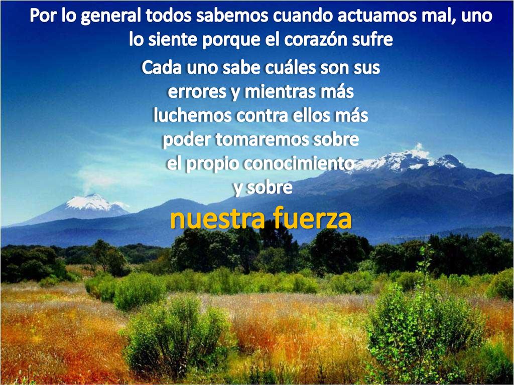 Por lo general todos sabemos cuando actuamos mal, uno lo siente porque el corazón sufre