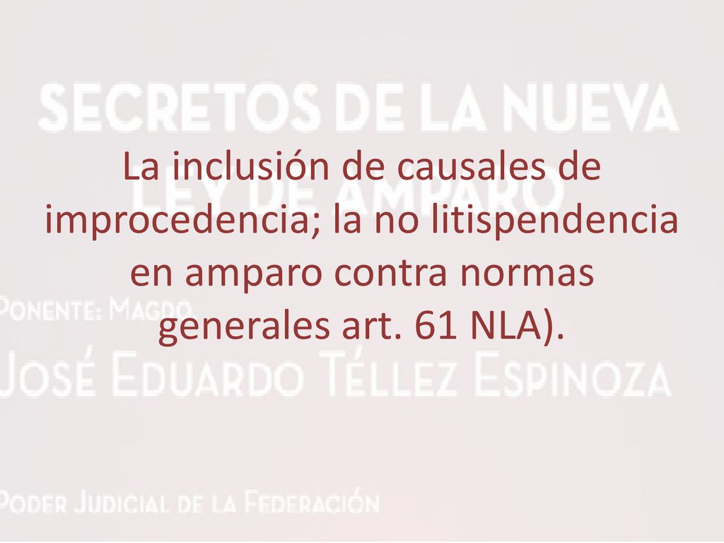 La inclusión de causales de improcedencia; la no litispendencia en amparo contra normas generales art.