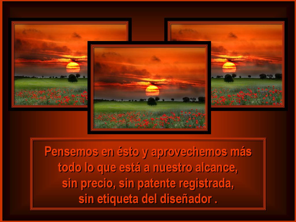 sin precio, sin patente registrada, sin etiqueta del diseñador .