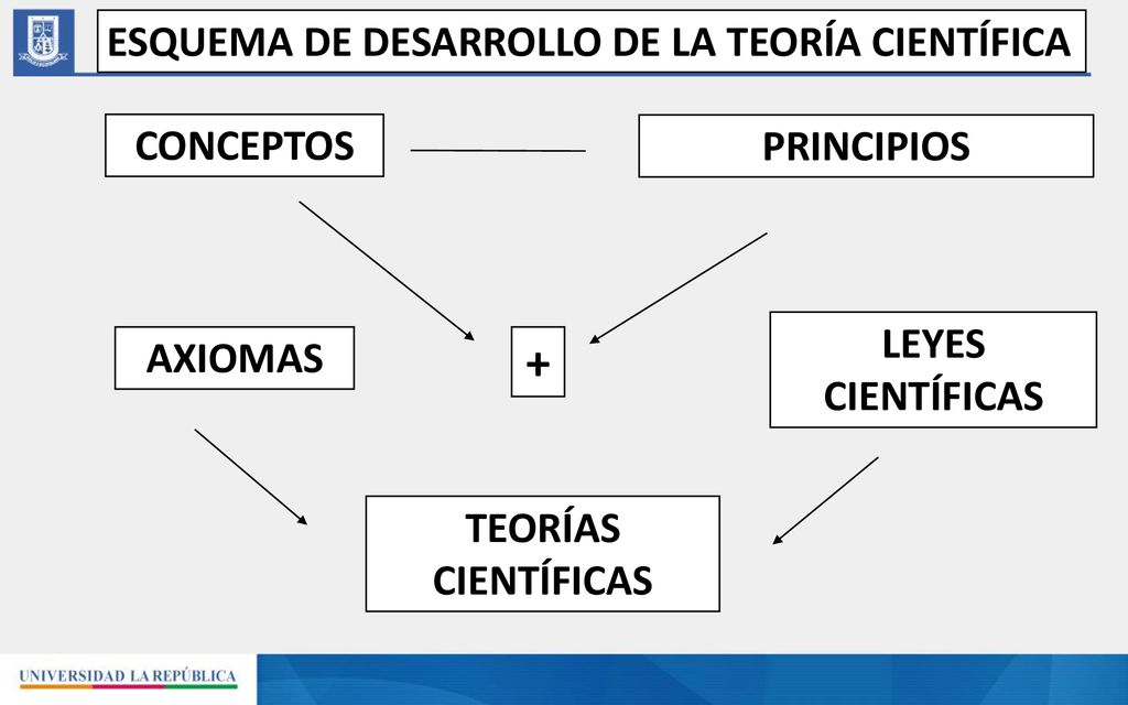 + ESQUEMA DE DESARROLLO DE LA TEORÍA CIENTÍFICA CONCEPTOS PRINCIPIOS