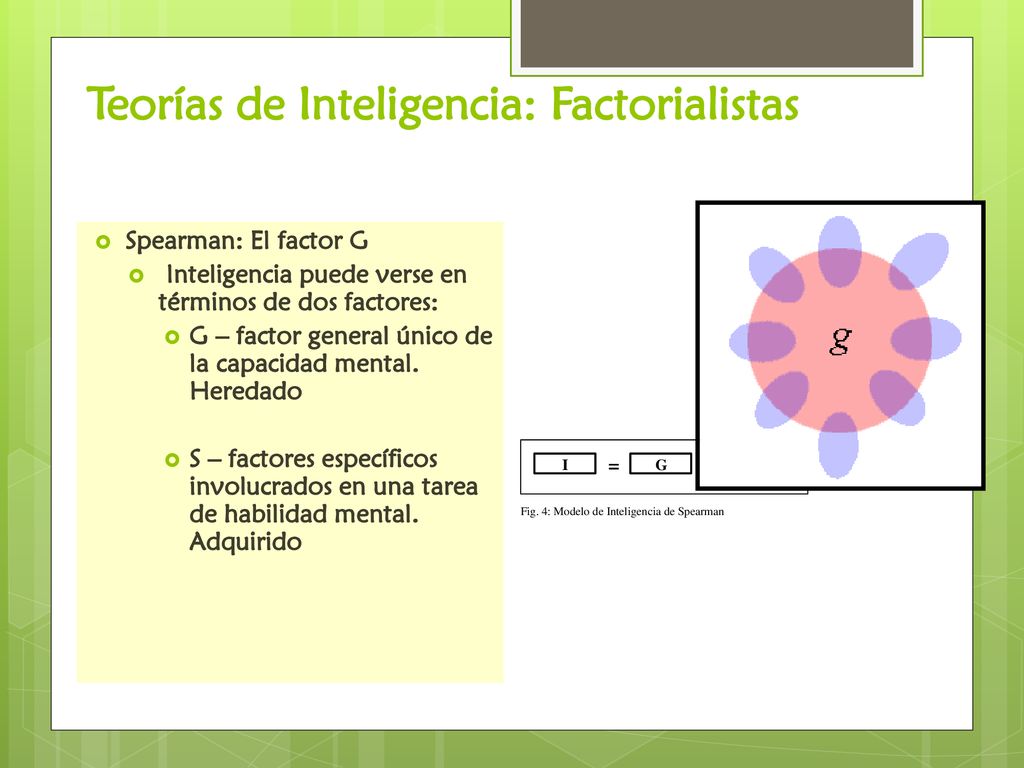 Teorías de Inteligencia: Factorialistas