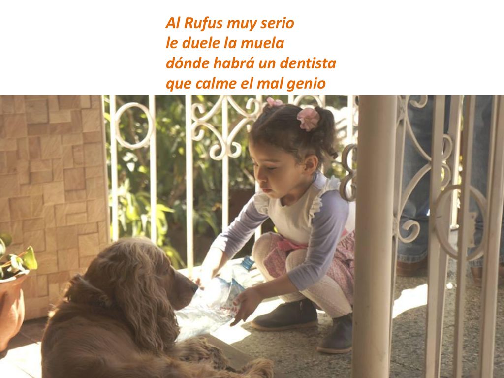 Al Rufus muy serio le duele la muela dónde habrá un dentista que calme el mal genio