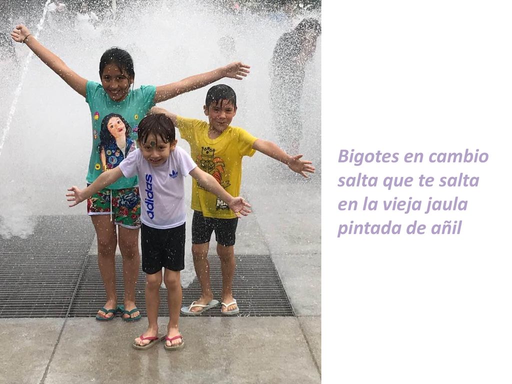 Bigotes en cambio salta que te salta en la vieja jaula pintada de añil