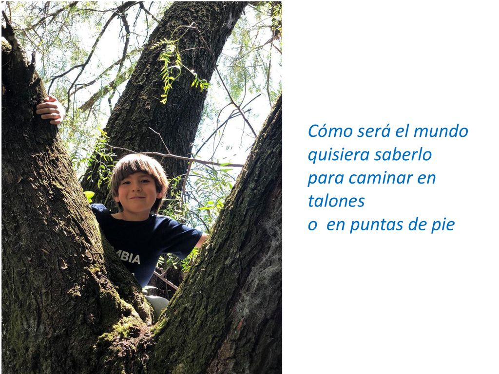 Cómo será el mundo quisiera saberlo para caminar en talones o en puntas de pie
