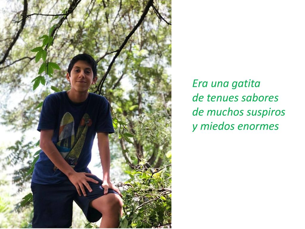 Era una gatita de tenues sabores de muchos suspiros y miedos enormes