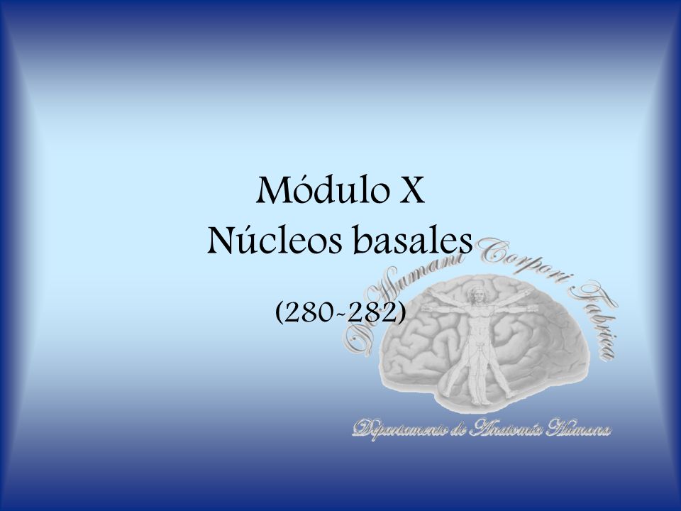 Módulo X Núcleos basales