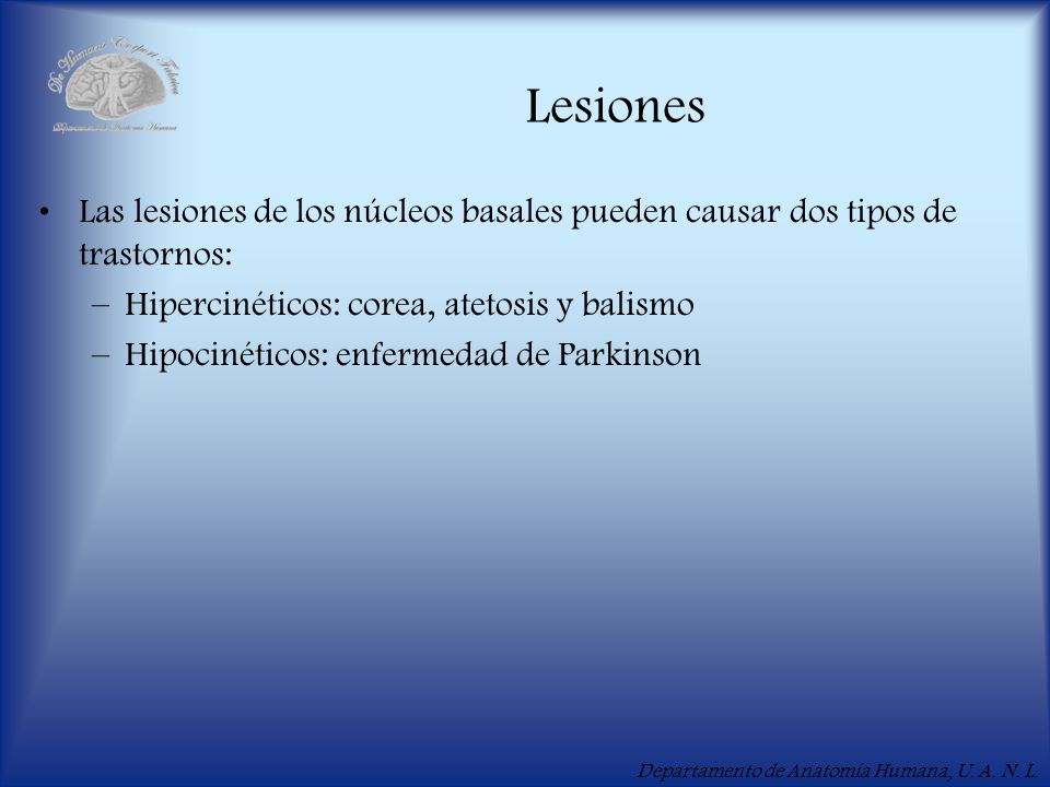 Lesiones Las lesiones de los núcleos basales pueden causar dos tipos de trastornos: Hipercinéticos: corea, atetosis y balismo.
