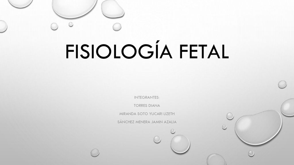 Fisiología fetal Integrantes: Torres diana Miranda soto yucari lizeth