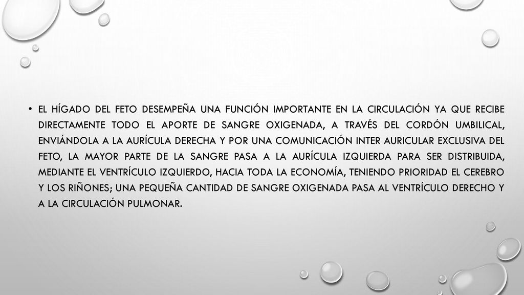 El hígado del feto desempeña una función importante en la circulación ya que recibe directamente todo el aporte de sangre oxigenada, a través del cordón umbilical, enviándola a la aurícula derecha y por una comunicación inter auricular exclusiva del feto, la mayor parte de la sangre pasa a la aurícula izquierda para ser distribuida, mediante el ventrículo izquierdo, hacia toda la economía, teniendo prioridad el cerebro y los riñones; una pequeña cantidad de sangre oxigenada pasa al ventrículo derecho y a la circulación pulmonar.
