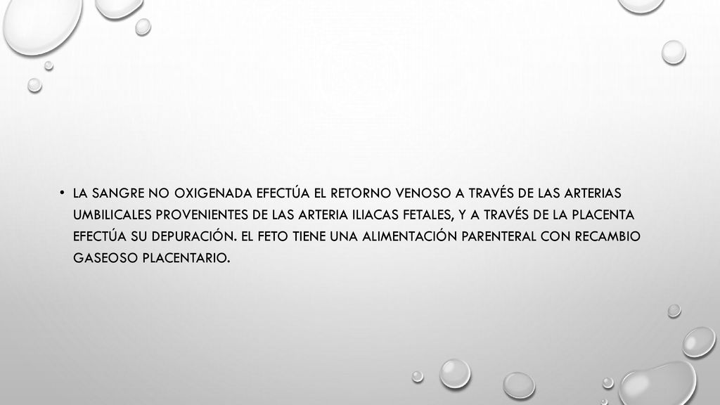 La sangre no oxigenada efectúa el retorno venoso a través de las arterias umbilicales provenientes de las arteria iliacas fetales, y a través de la placenta efectúa su depuración.