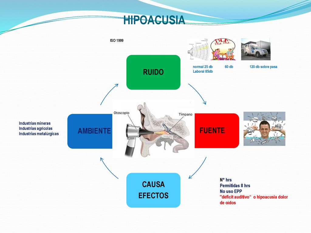 HIPOACUSIA RUIDO AMBIENTE FUENTE CAUSA EFECTOS N° hrs Permitidas 8 hrs