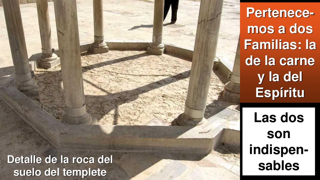 Pertenece-mos a dos Familias: la de la carne y la del Espíritu