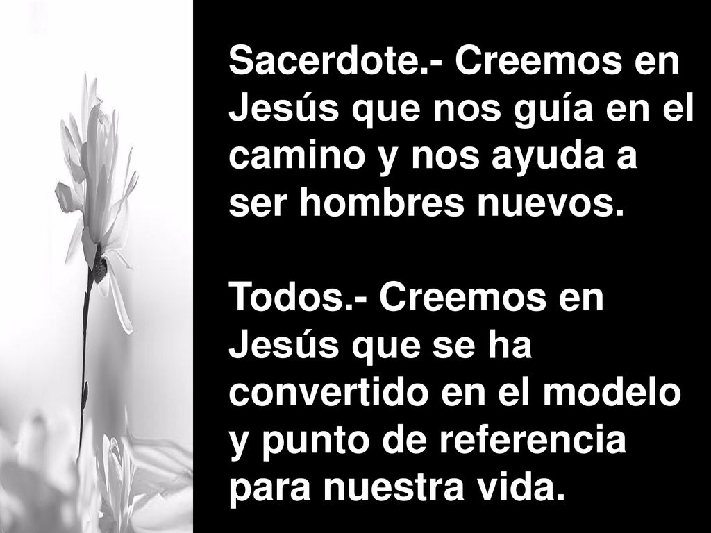 Sacerdote.- Creemos en Jesús que nos guía en el camino y nos ayuda a ser hombres nuevos.