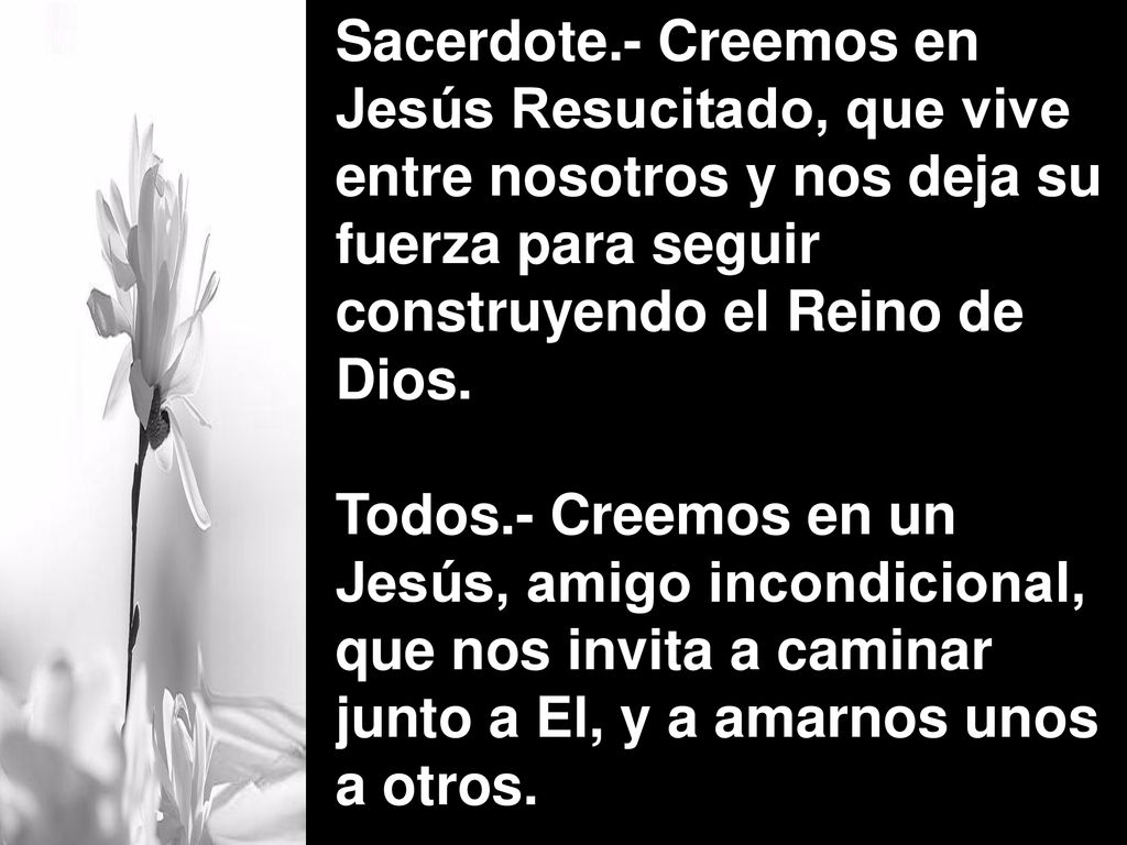 Sacerdote.- Creemos en Jesús Resucitado, que vive entre nosotros y nos deja su fuerza para seguir construyendo el Reino de Dios.