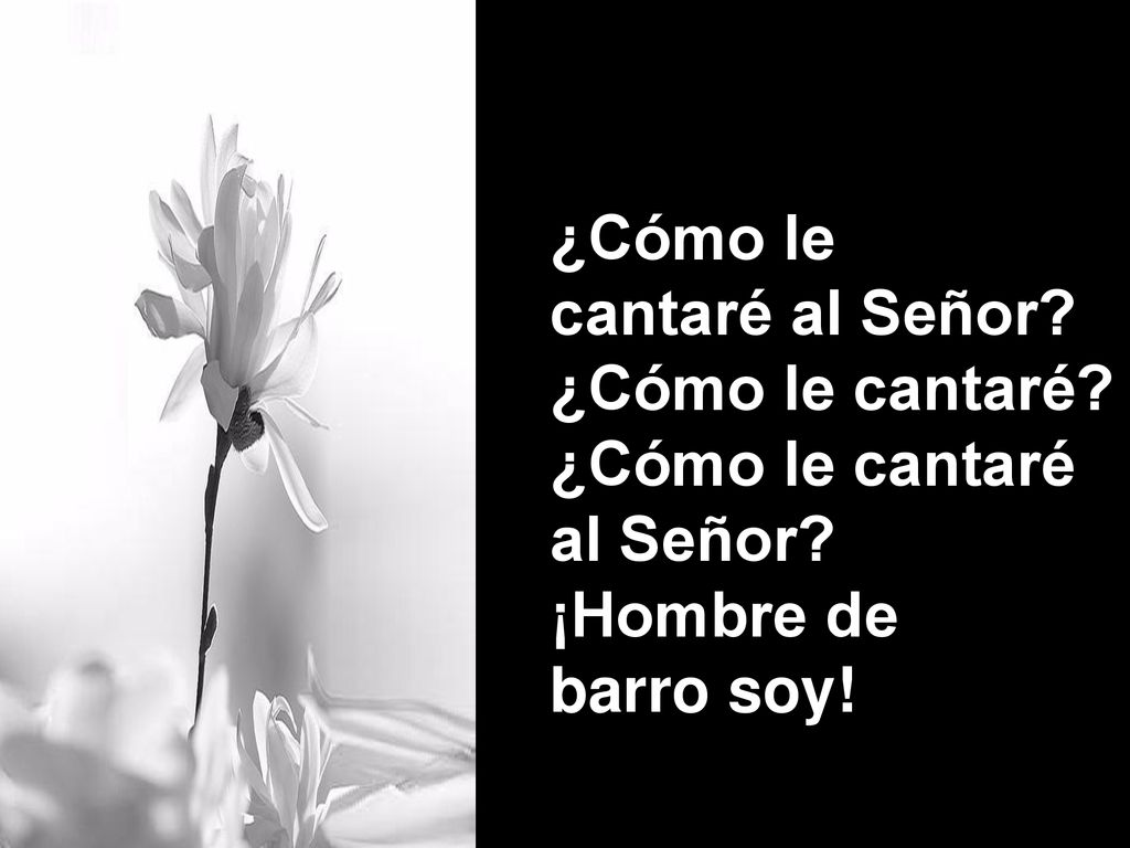 ¿Cómo le cantaré al Señor ¿Cómo le cantaré ¿Cómo le cantaré al Señor ¡Hombre de barro soy!