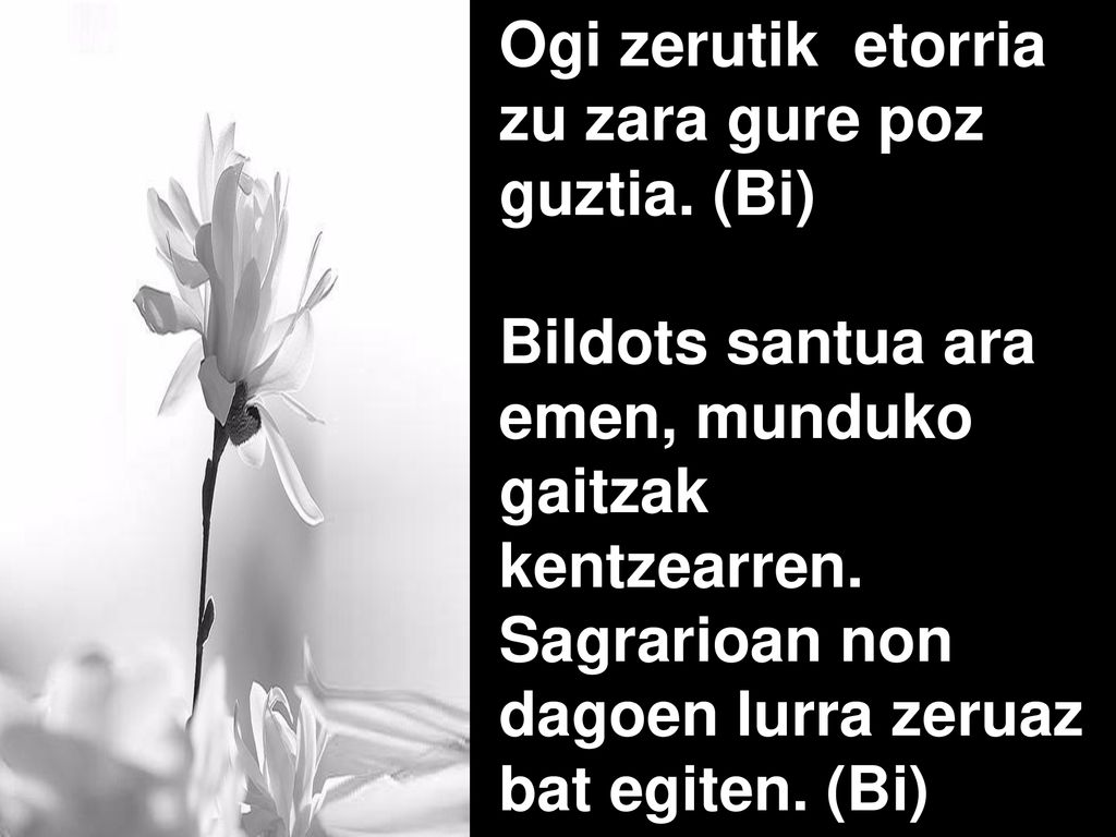 Ogi zerutik etorria zu zara gure poz guztia. (Bi)