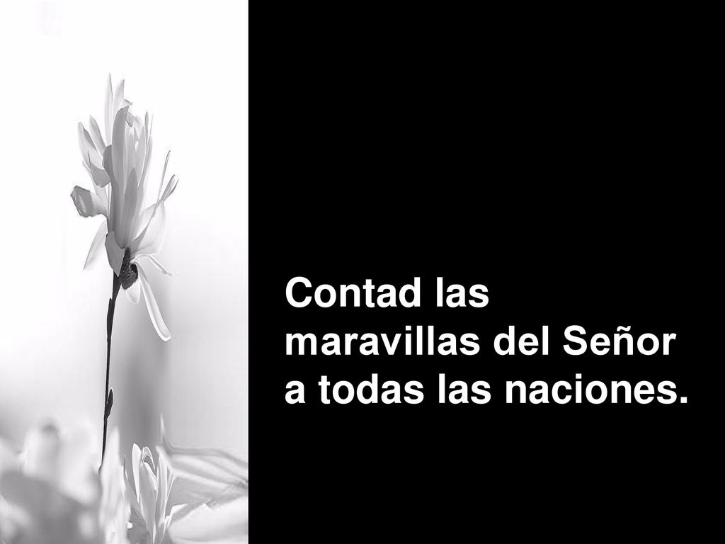 Contad las maravillas del Señor a todas las naciones.