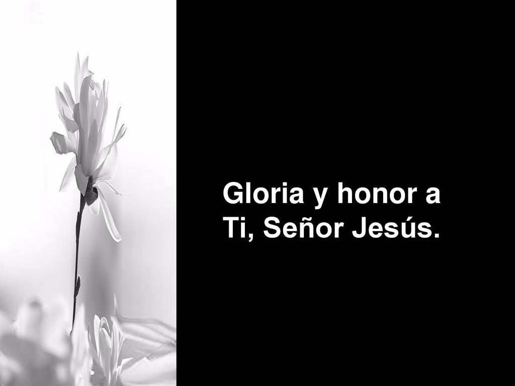 Gloria y honor a Ti, Señor Jesús.