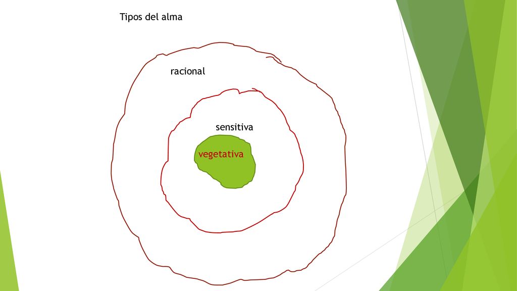 Tipos del alma racional sensitiva vegetativa