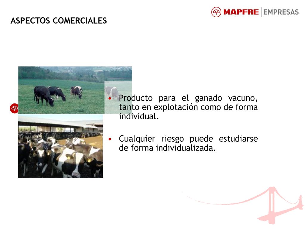 ASPECTOS COMERCIALES Producto para el ganado vacuno, tanto en explotación como de forma individual.