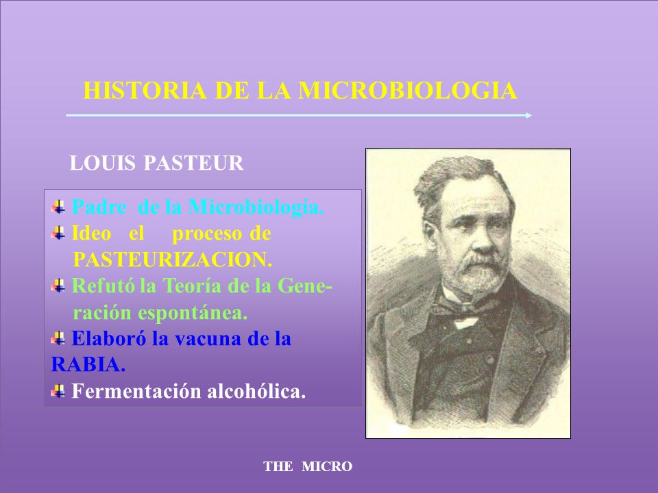 HISTORIA DE LA MICROBIOLOGIA - ppt descargar