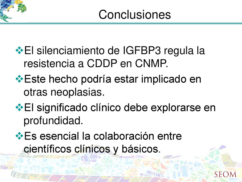 Conclusiones El silenciamiento de IGFBP3 regula la resistencia a CDDP en CNMP. Este hecho podría estar implicado en otras neoplasias.