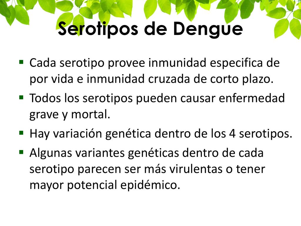 Serotipos de Dengue Cada serotipo provee inmunidad especifica de por vida e inmunidad cruzada de corto plazo.