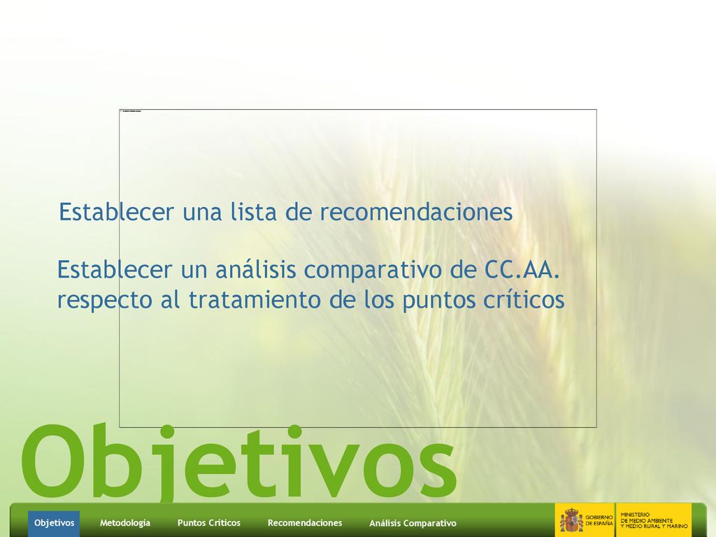 Objetivos Establecer una lista de recomendaciones