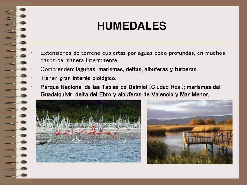 HUMEDALES Extensiones de terreno cubiertas por aguas poco profundas, en muchos casos de manera intermitente.